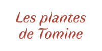 Les_plantes_logo