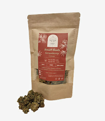 Les_Plantes_de_Tomines_Fleur_CBD_Strawberry_Small_Buds_Outdoor_uweed_01